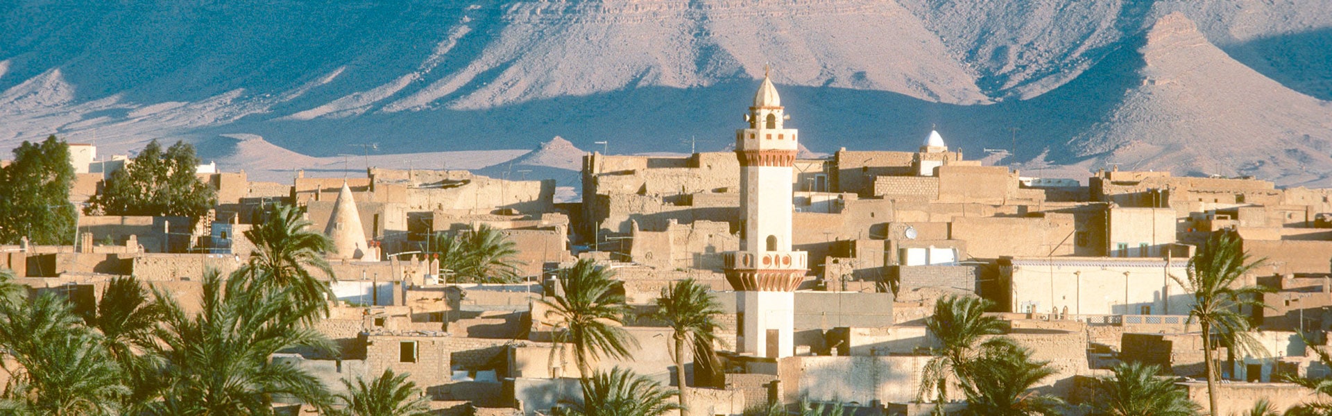 Cezayir Vize Danışmanlık